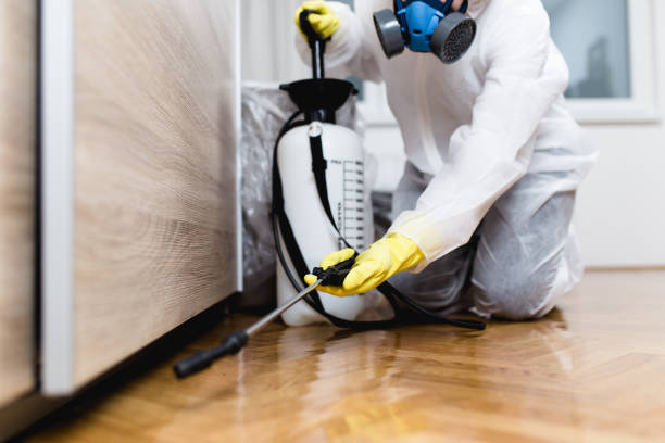 Pest Control for Restaurants in Dillsboro, IN