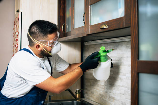 Best Local Pest Control Services  in Dillsboro, IN