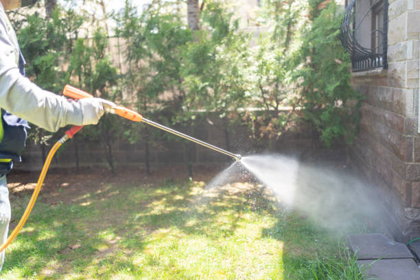 Wildlife Control Services in Dillsboro, IN