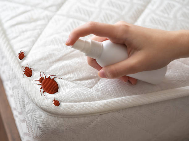 Best Exterminator Services  in Dillsboro, IN