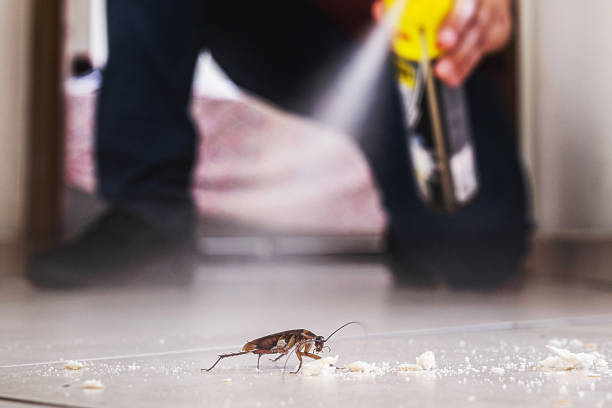 Best Pest Prevention Services  in Dillsboro, IN