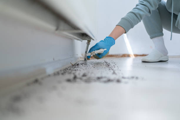 Best Mosquito Control Services  in Dillsboro, IN