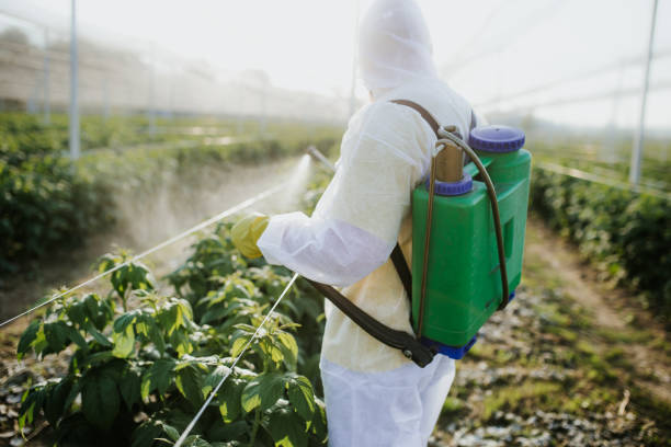 Best Ant Control Services  in Dillsboro, IN